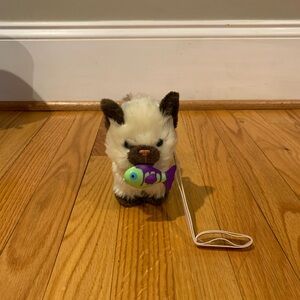 american girl doll cat set